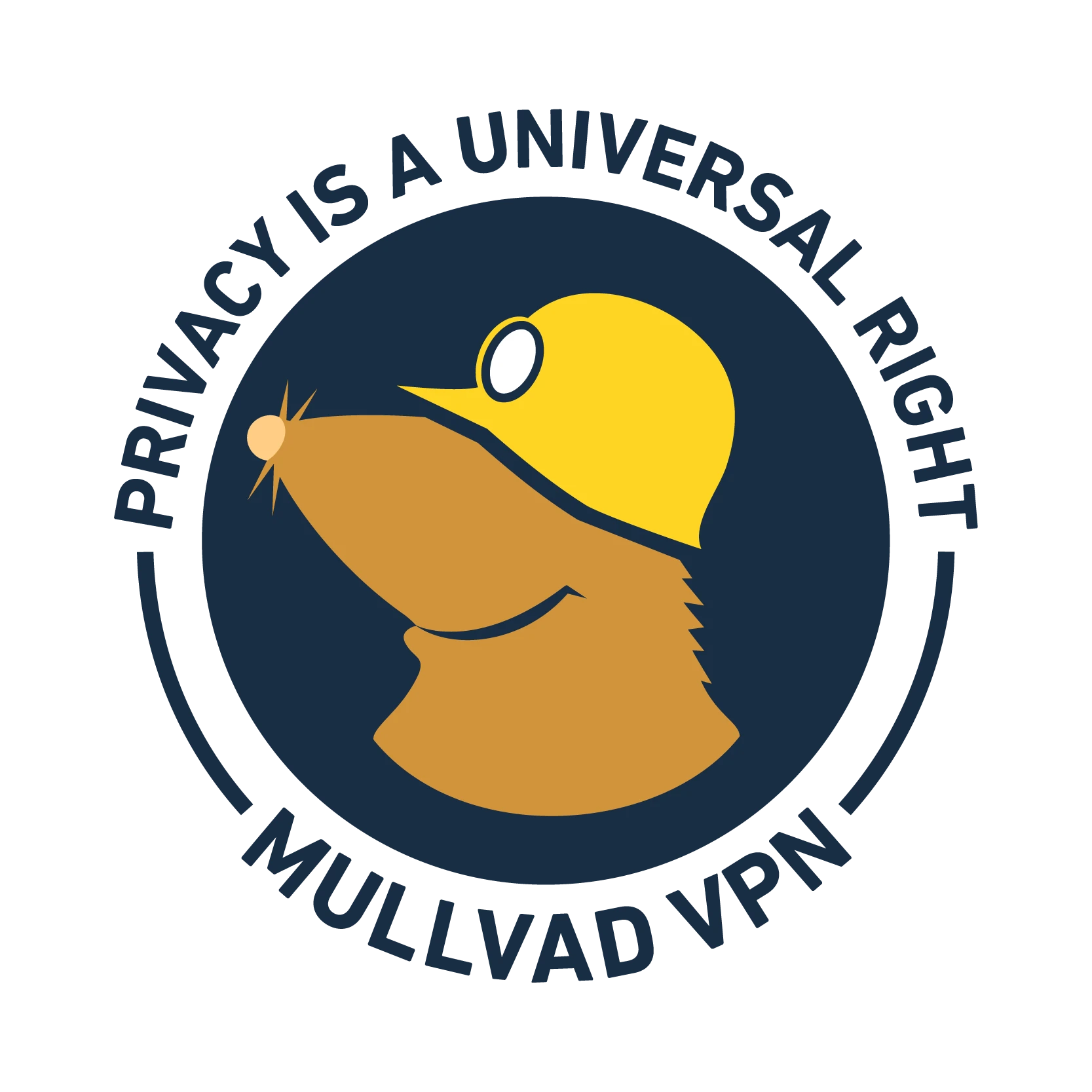 支持使用更多本地货币支付Mullvad，以避免手续费！